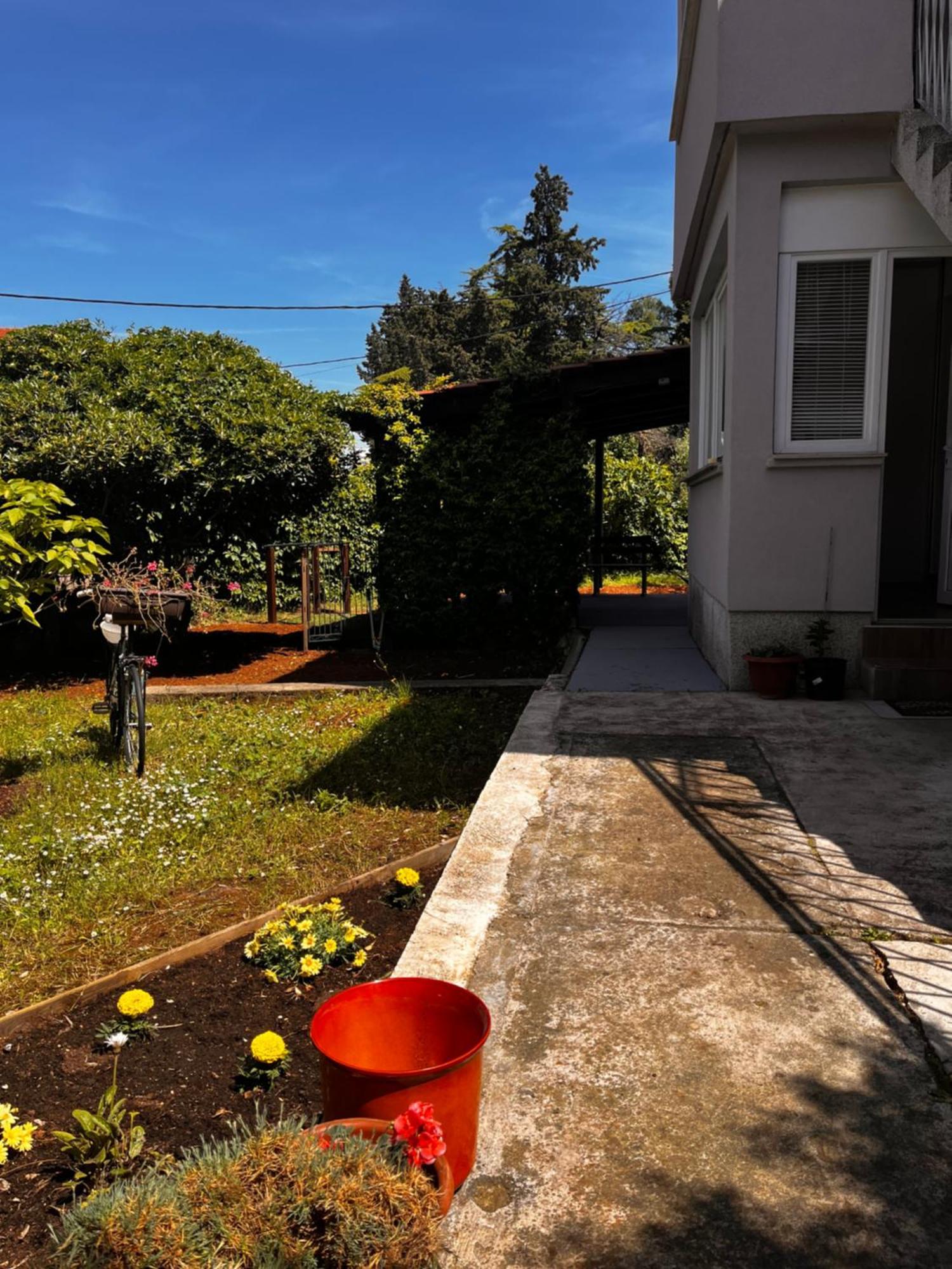 Apartament Tea
